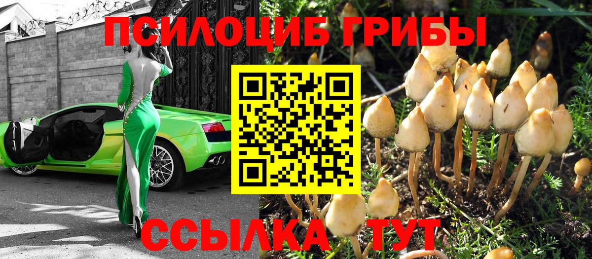 Галлюциногенные грибы мицелий Отрадное