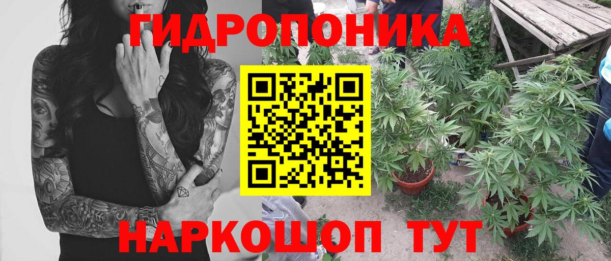 Шишки марихуана THC 21% Отрадное